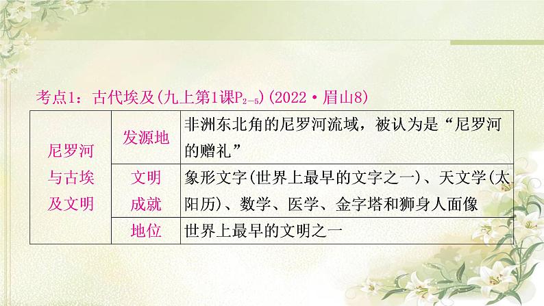 中考历史复习世界古代史第一单元古代亚非文明教学课件第7页
