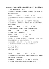 2022-2023学年山东省菏泽市成武县七年级（上）期末历史试卷（含解析）