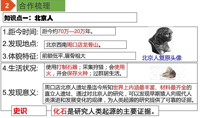 中考历史一轮复习精品课件专题01 史前时期:中国境内早期人类与文明的起源第4页
