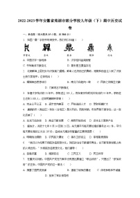 2022-2023学年安徽省芜湖市部分学校九年级（下）期中历史试卷（含解析）