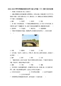 2022-2023学年河南省洛阳市伊川县七年级（下）期中历史试卷（含解析）