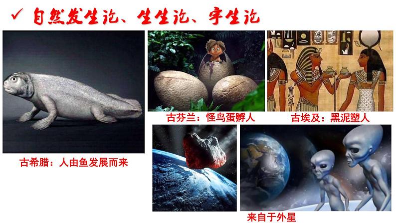 第1课 中国早期人类的代表——北京人课件PPT第4页