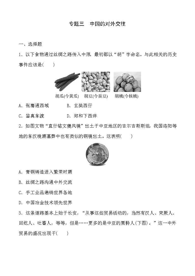 2023年山东省部编版历史中考二轮复习专项练:专题三 中国的对外交往第1页