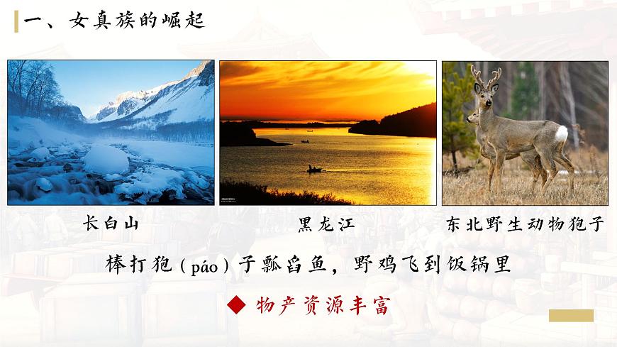 第8課 金與南宋的對(duì)峙課件第5頁