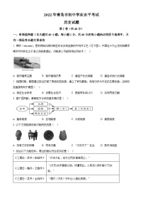 2022年山东省青岛市中考历史真题（原卷版）