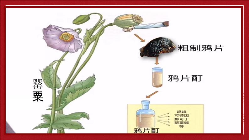 2023-2024学年部编版八年级历史上册 第1课 鸦片战争 课件第3页