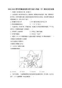 2022-2023学年河南省洛阳市伊川县八年级（下）期末历史试卷（含解析）