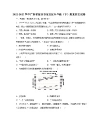 2022-2023学年广东省深圳市宝安区八年级（下）期末历史试卷（含解析）