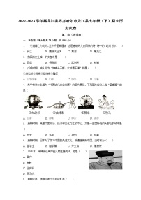 黑龙江省齐齐哈尔市龙江县2022-2023学年七年级下期末历史试卷（含答案）