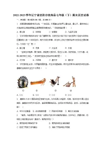 2022-2023学年辽宁省沈阳市法库县七年级(下)期末历史试卷(含解析)