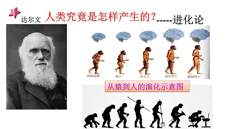 《中国早期人类的代表 北京人》优质课一等奖课件第4页