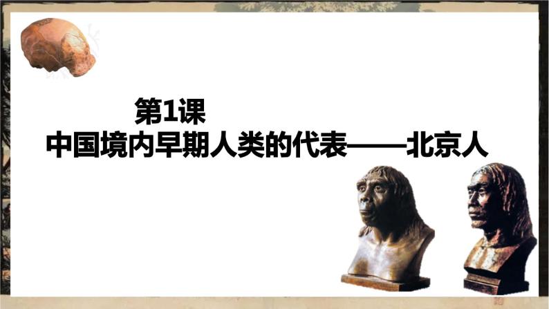 第1课 中国境内早期人类的代表——北京人课件（23页）02