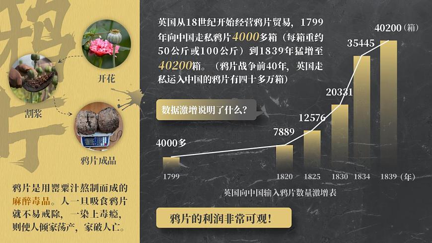 第1課 鴉片戰(zhàn)爭 課件第6頁
