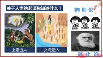 历史七年级上册第一课 中国境内早期人类的代表—北京人精品ppt课件