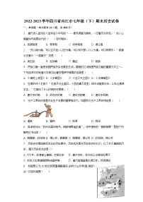 2022-2023学年四川省内江市七年级（下）期末历史试卷（含解析）