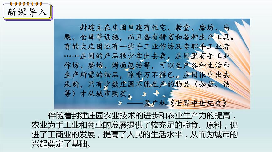 第9課 中世紀城市和大學的興起課件第3頁