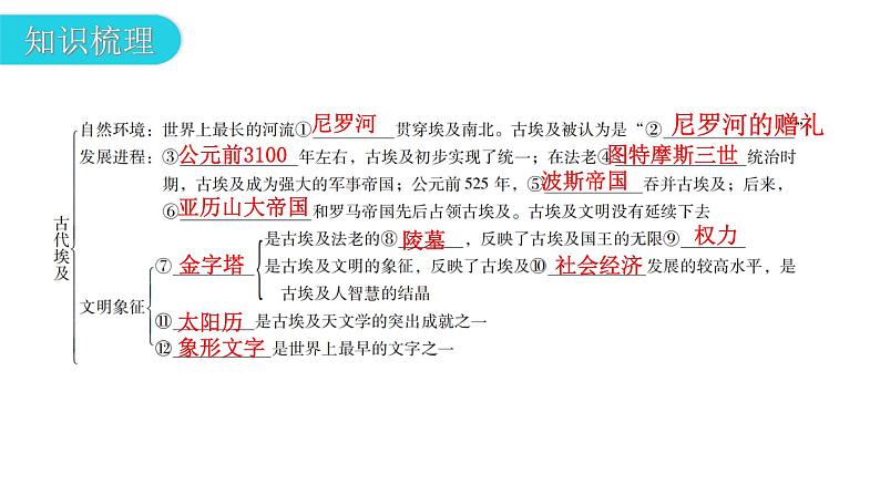 人教版世界历史九年级上册第一单元古代亚非文明第一课古代埃及课件第6页