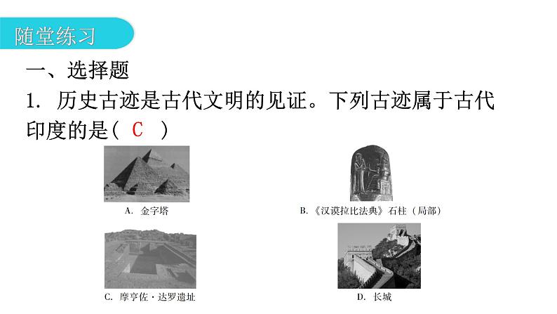 人教版世界历史九年级上册第一单元古代亚非文明第三课古代印度课件第8页