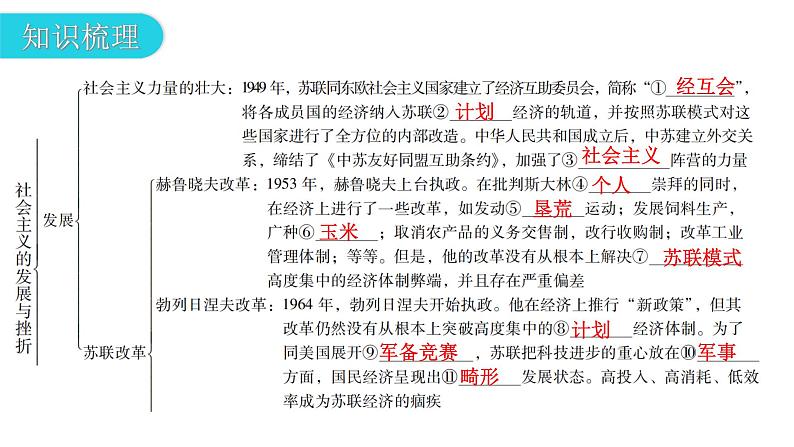 人教版世界历史九年级下册第五单元第18课社会主义的发展与挫折课件第5页