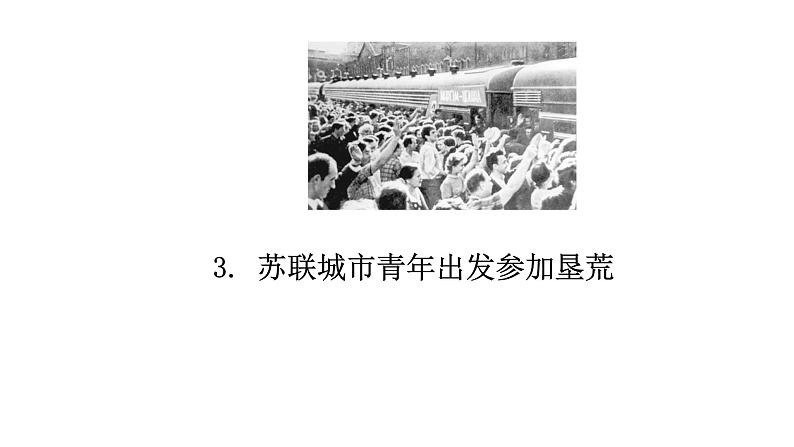 人教版世界历史九年级下册第五单元第18课社会主义的发展与挫折课件第8页