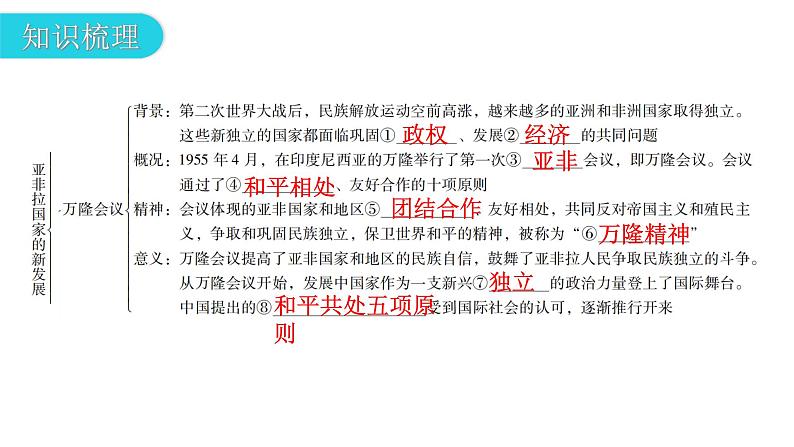 人教版世界历史九年级下册第五单元第19课亚非拉国家的新发展课件05