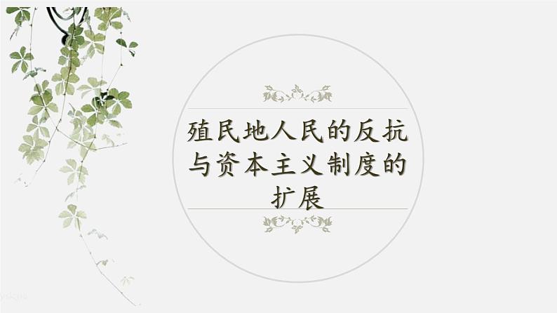 中考历史一轮复习考点讲练课件:殖民地人民的反抗与资本主义制度的扩展(含答案)01
