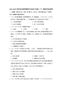 河北省邯郸市大名县2022-2023学年八年级下学期期末历史试卷