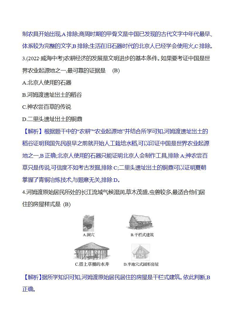 第2课原始农耕生活 同步练习(学生版+教师版)2023-2024 部编版初中历史七年级上册03