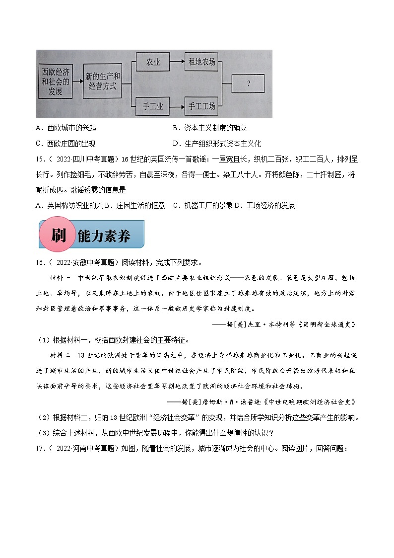 第13课 西欧经济和社会的发展-【必刷题】2021-2022学年九年级历史上册同步练习(部编版)03