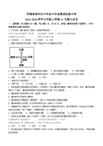 河南省中牟县第四初级中学2023-2024学年七年级上学期11月期中历史试题（含答案）