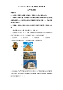 河南省平顶山市汝州市2023-2024学年九年级上学期11月期中历史试题（解析版 ）