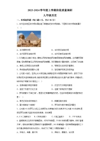 山东省临沂市兰陵县2023-2024学年九年级上学期期中历史试题（含解析）