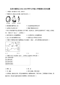 北京市朝阳区2022-2023学年七年级上学期期末历史试题（含答案解析）