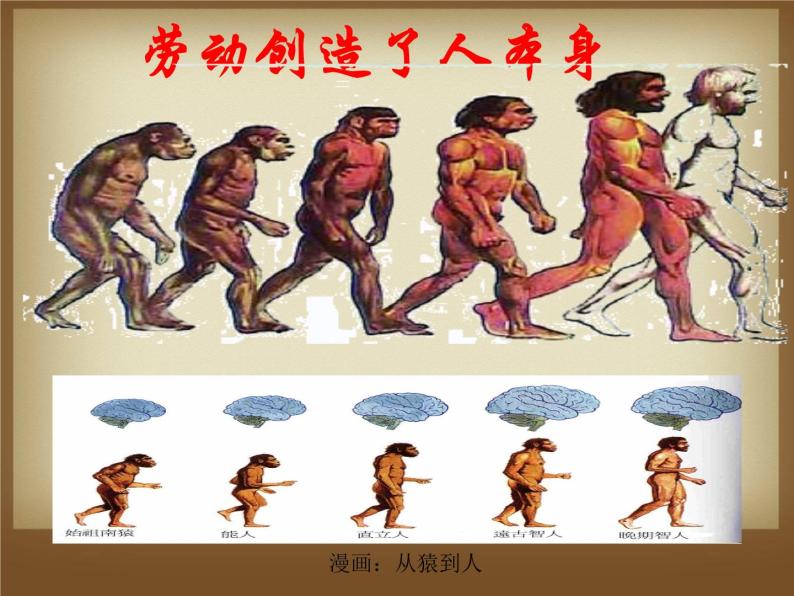 第1课 中国境内早期人类的代表——北京人课件07