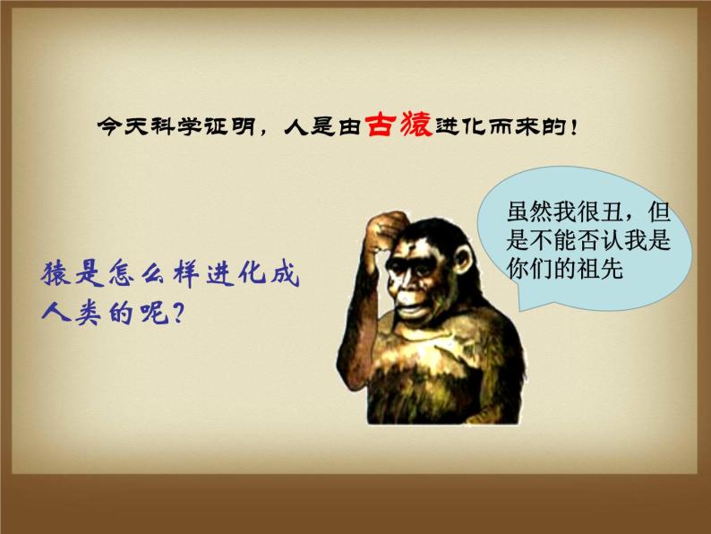 第1课 中国境内早期人类的代表——北京人 课件04