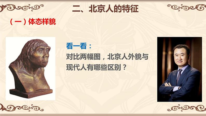 第1课 中国境内早期人类的代表——北京人 课件第6页