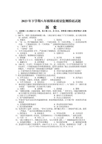 湖南省娄底市新化县2023-2024学年八年级上学期期末考试历史试题