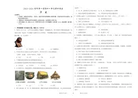 内蒙古鄂尔多斯市东胜区2023-2024学年七年级上学期期中历史试题