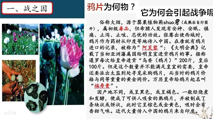 人教版歷史八年級(jí)上冊(cè)第1課_鴉片戰(zhàn)爭(zhēng) 課件第7頁(yè)