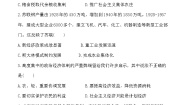 初中历史人教部编版九年级下册第三单元 第一次世界大战和战后初期的世界第11课 苏联的社会主义建设当堂检测题