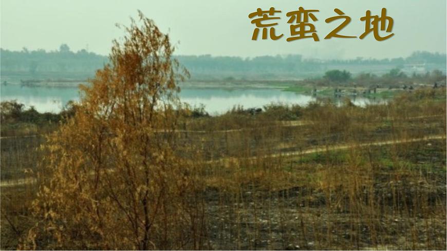 【趣味課堂】部編版初中歷史七年級(jí)下冊(cè) 第9課宋代經(jīng)濟(jì)的發(fā)展-課件第7頁