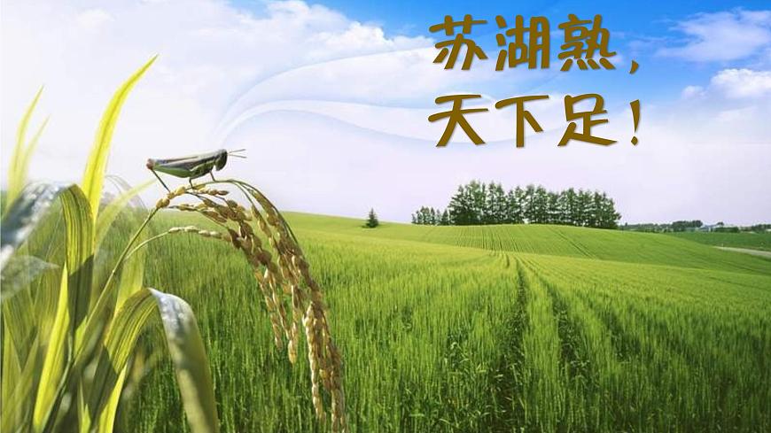【趣味課堂】部編版初中歷史七年級(jí)下冊(cè) 第9課宋代經(jīng)濟(jì)的發(fā)展-課件第8頁
