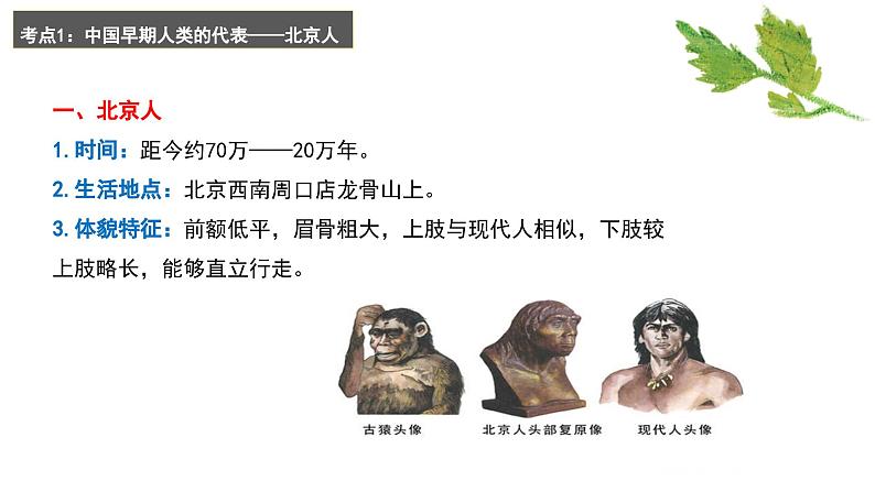 专题一 史前时期:中国境内早期人类与文明的起源——2024届中考历史一轮复习进阶课件【人教部编版】05