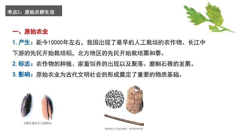 专题一 史前时期:中国境内早期人类与文明的起源——2024届中考历史一轮复习进阶课件【人教部编版】08