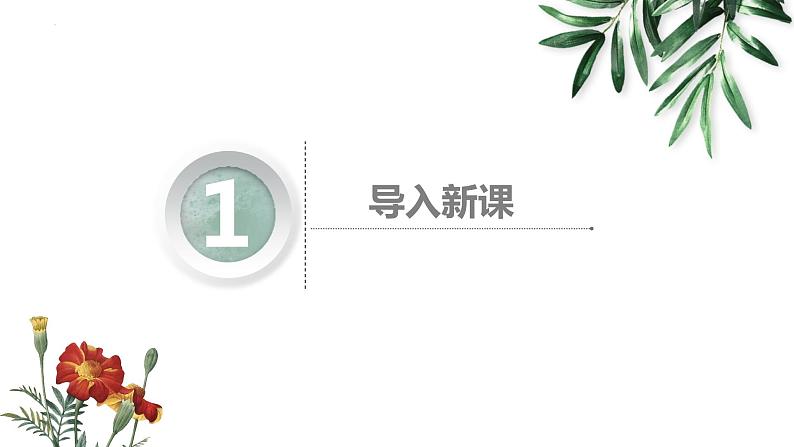 1.1中国境内早期人类的代表—北京人课件2023~2024学年统编版七年级历史上册第2页