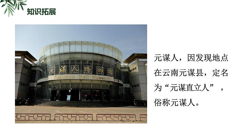 1.1中国境内早期人类的代表—北京人课件2023~2024学年统编版七年级历史上册第8页