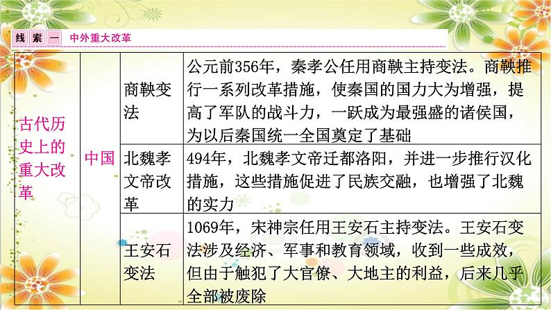 2024年中考历史二轮复习课件(宁夏专用)专题六中外重大改革与制度创新第2页
