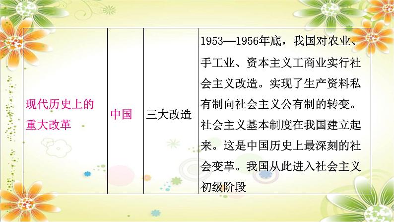 2024年中考历史二轮复习课件(宁夏专用)专题六中外重大改革与制度创新第8页