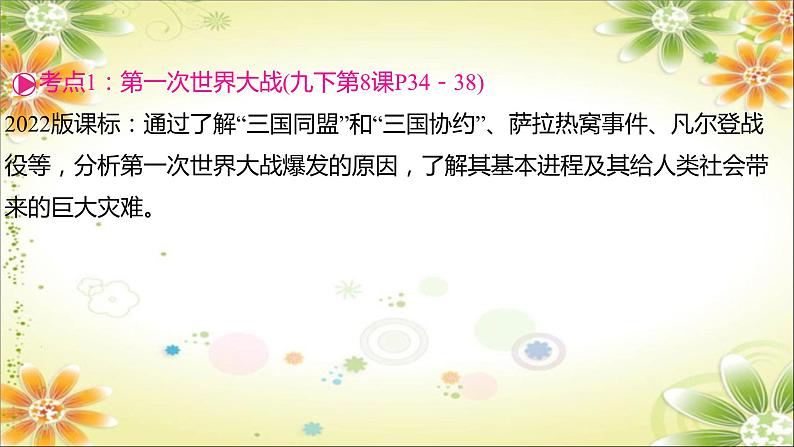 2024年中考历史一轮复习课件(宁夏专用)世界现代史第一单元 第一次世界大战和战后初期的世界07