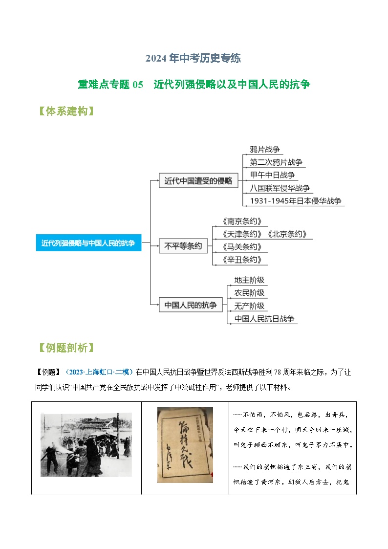 2024年中考历史专练（上海专用）05  近代列强侵略以及中国人民的抗争（含解析）